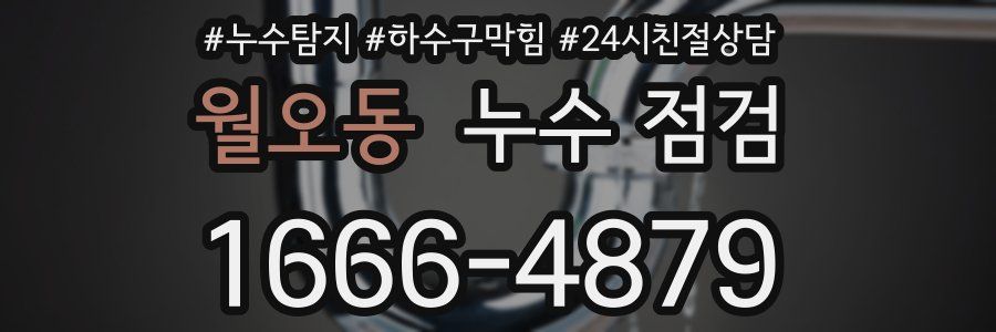 월오동 누수 점검