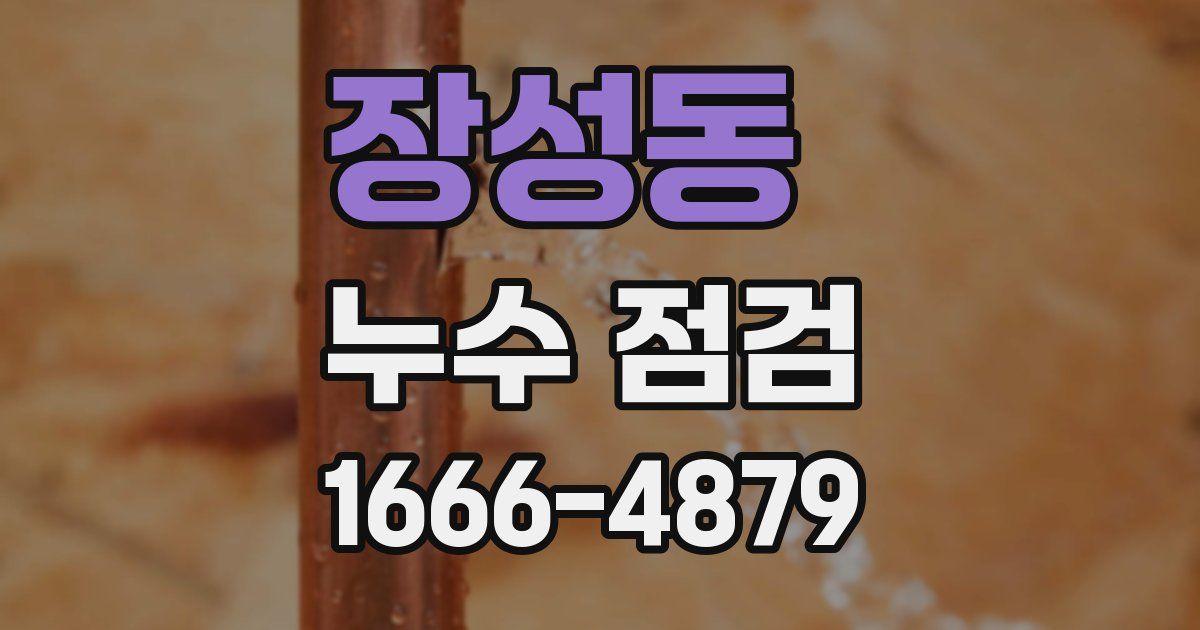 장성동 누수 점검