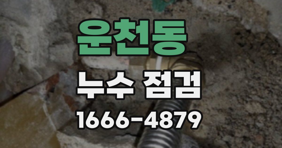 운천동 누수 점검