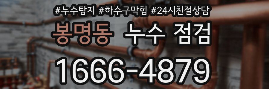 봉명동 누수 점검