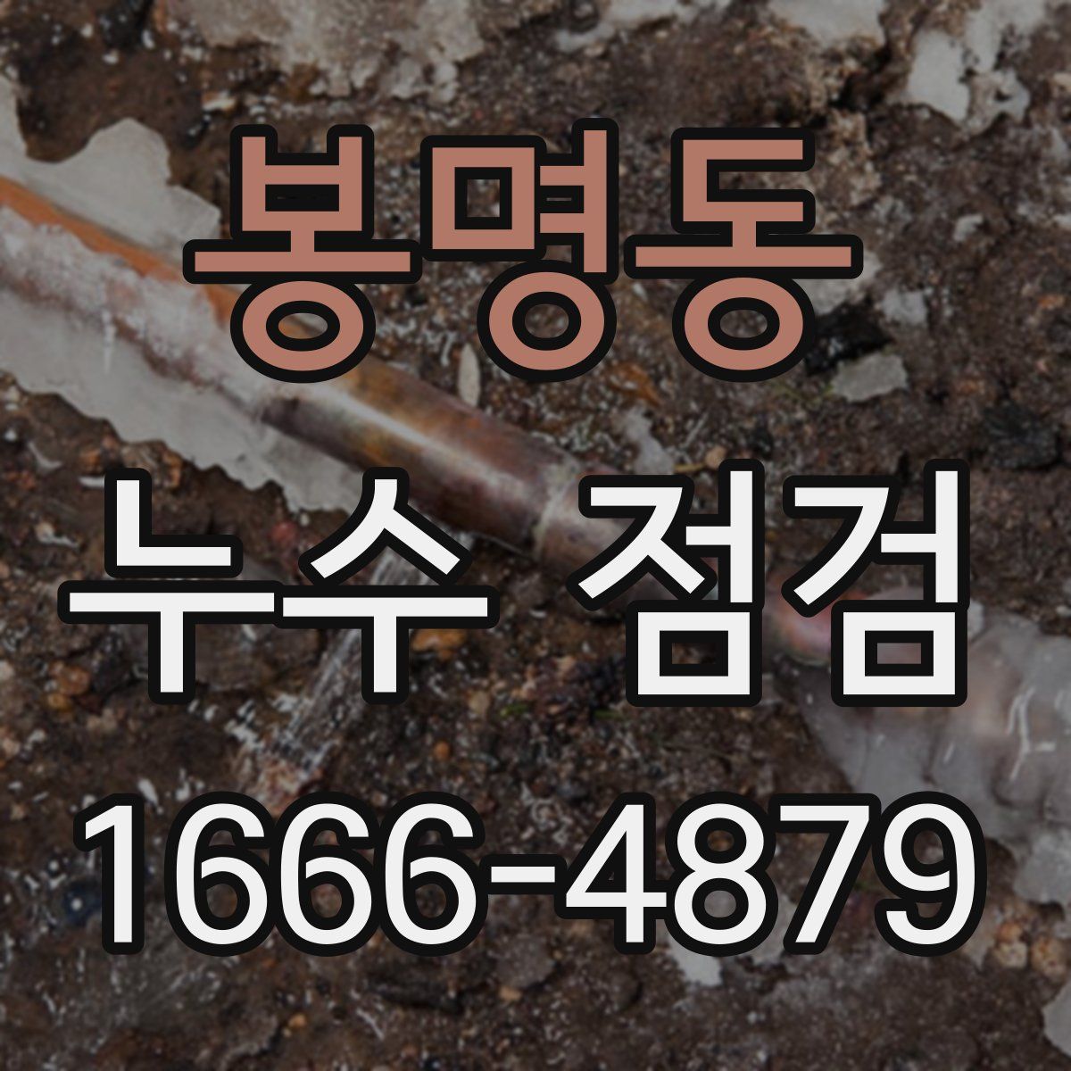 봉명동 누수 점검