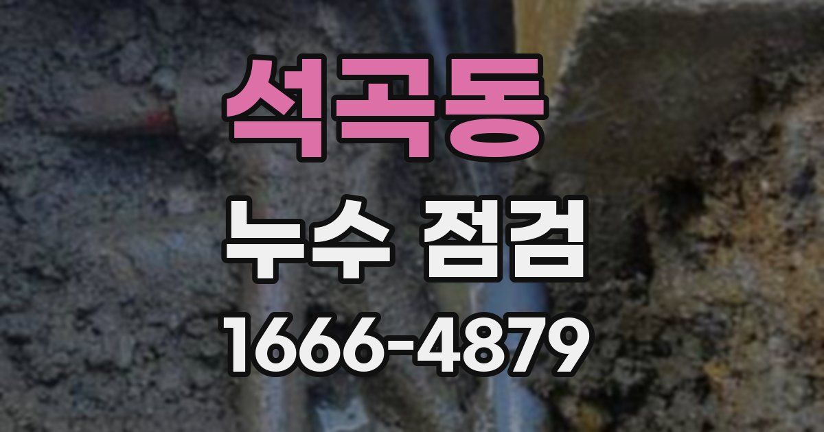 석곡동 누수 점검