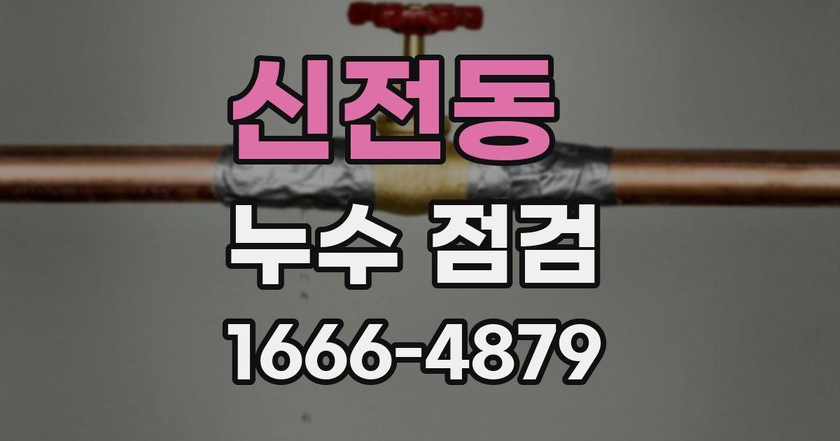 신전동 누수 점검