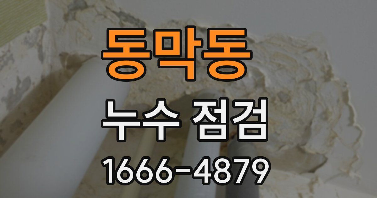동막동 누수 점검