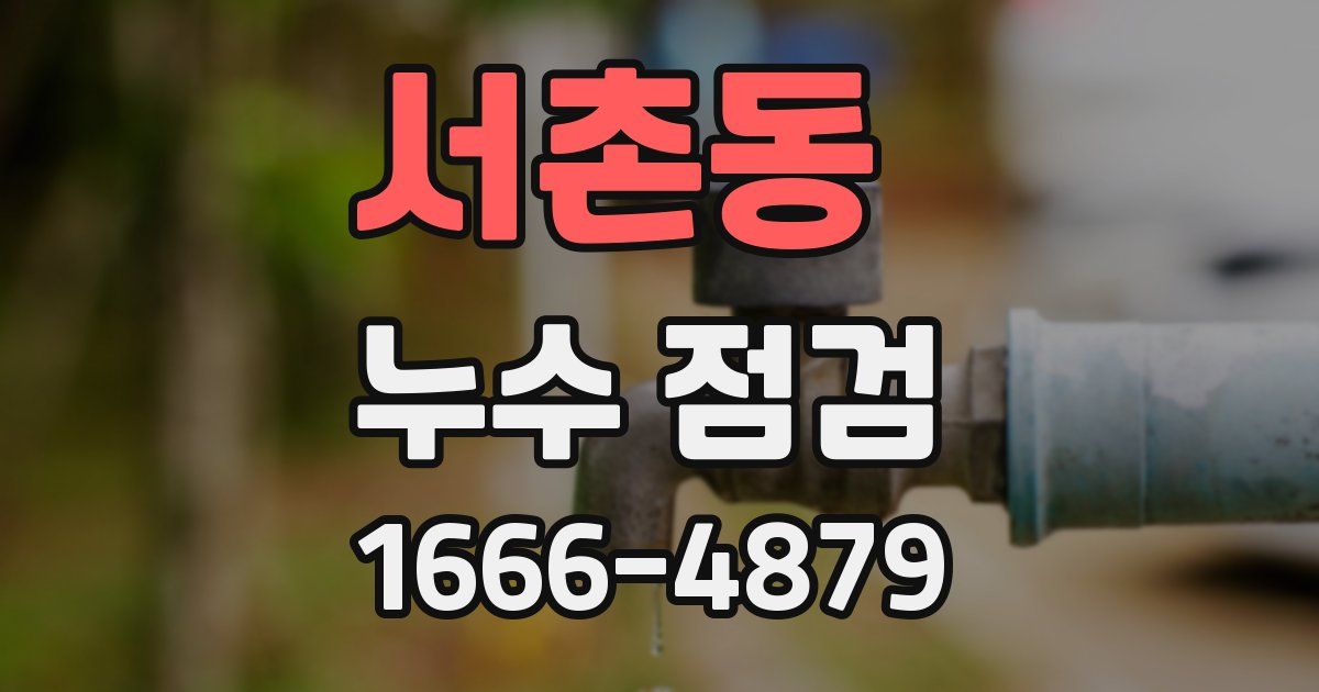 서촌동 누수 점검