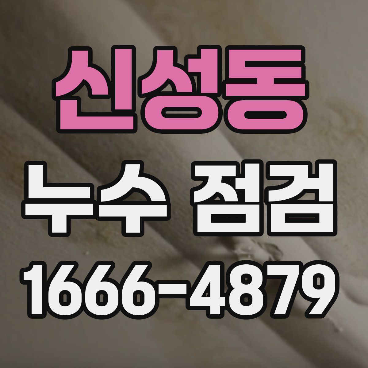 신성동 누수 점검