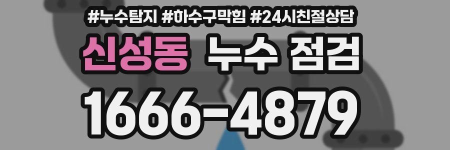 신성동 누수 점검