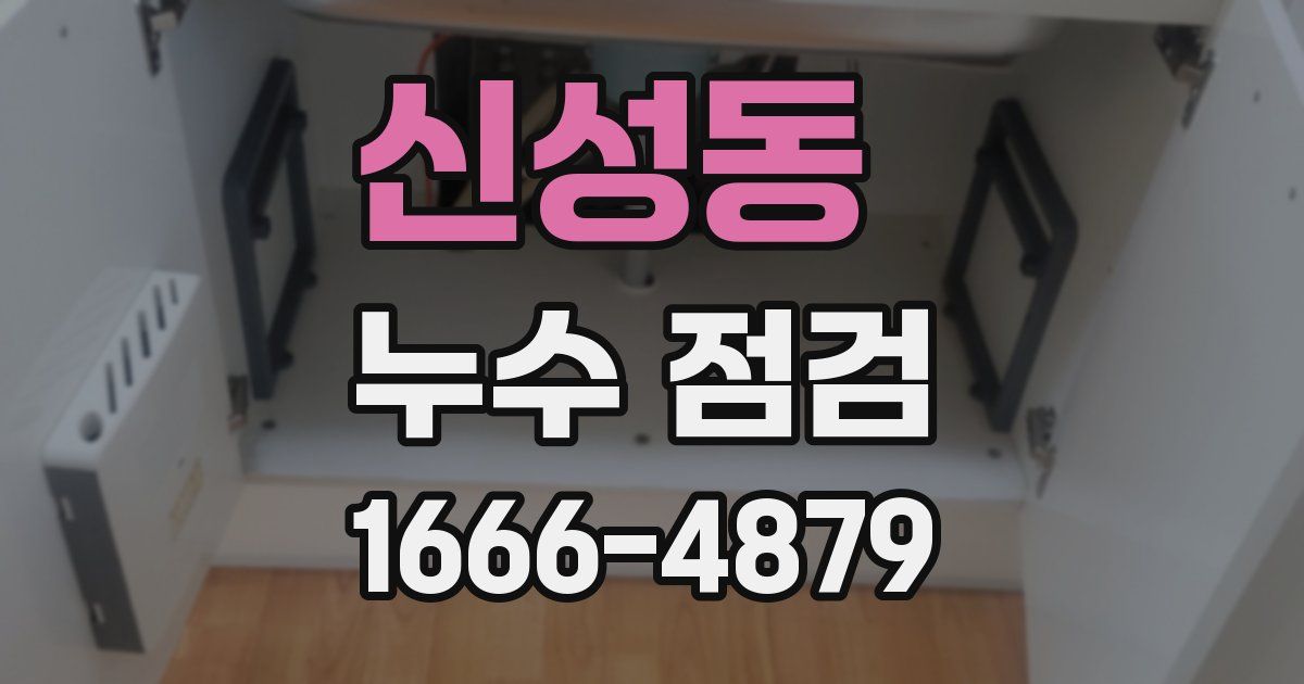신성동 누수 점검