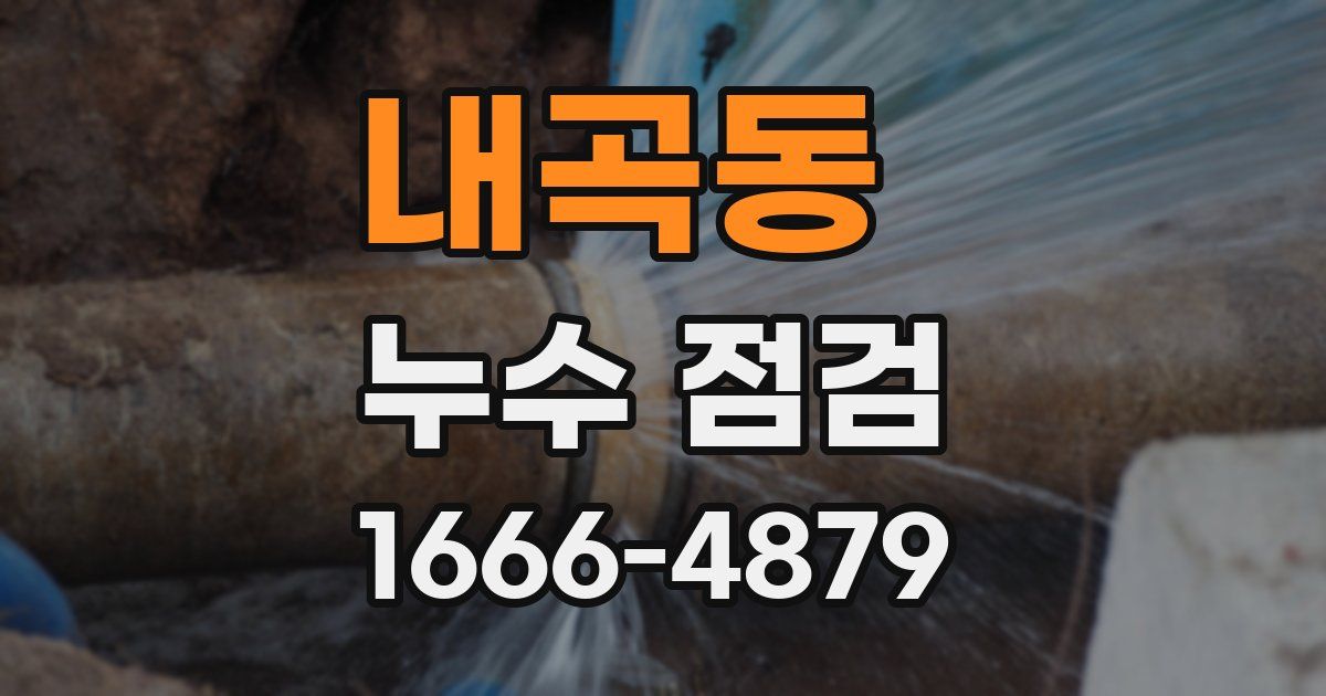 내곡동 누수 점검