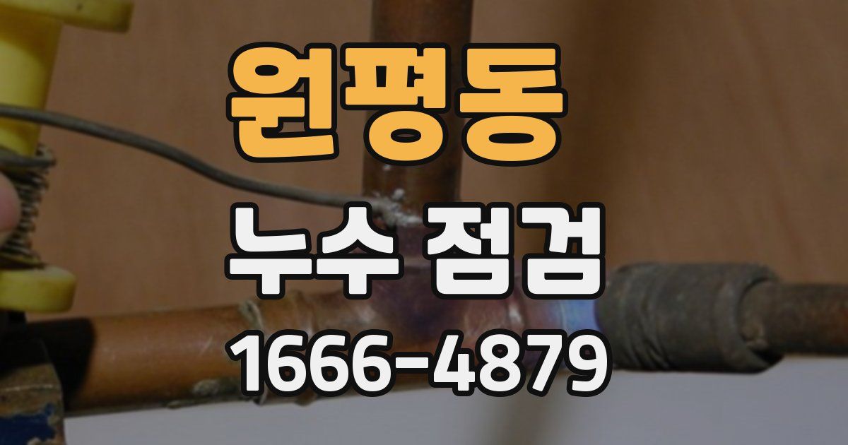 원평동 누수 점검