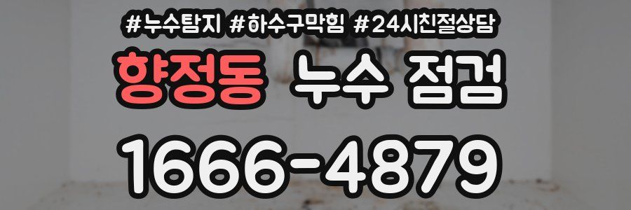 향정동 누수 점검