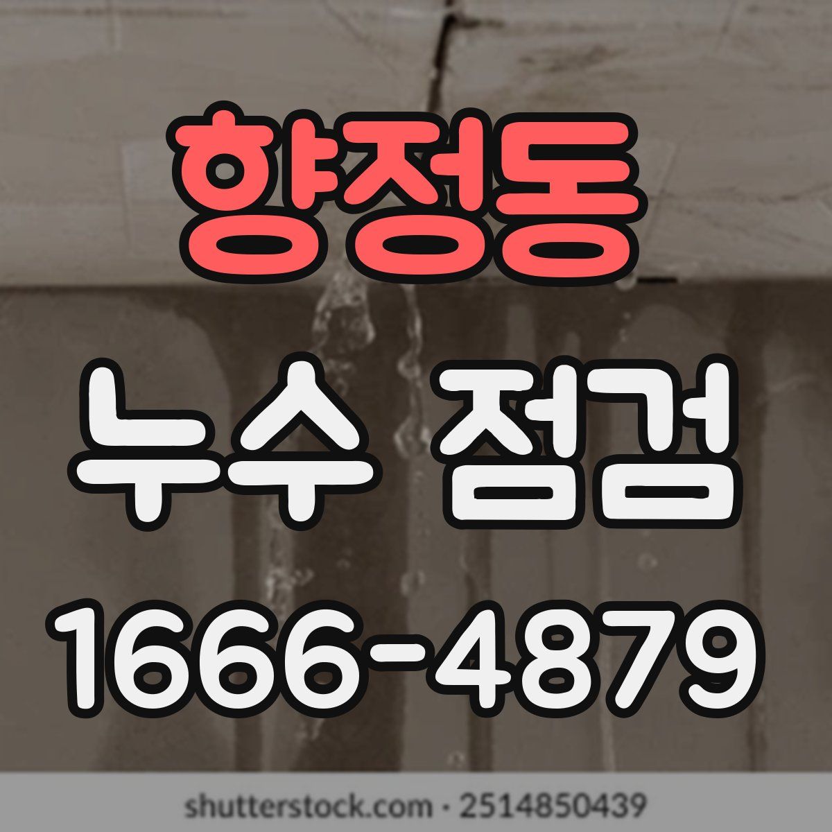 향정동 누수 점검
