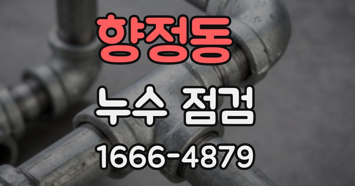 향정동 누수 점검