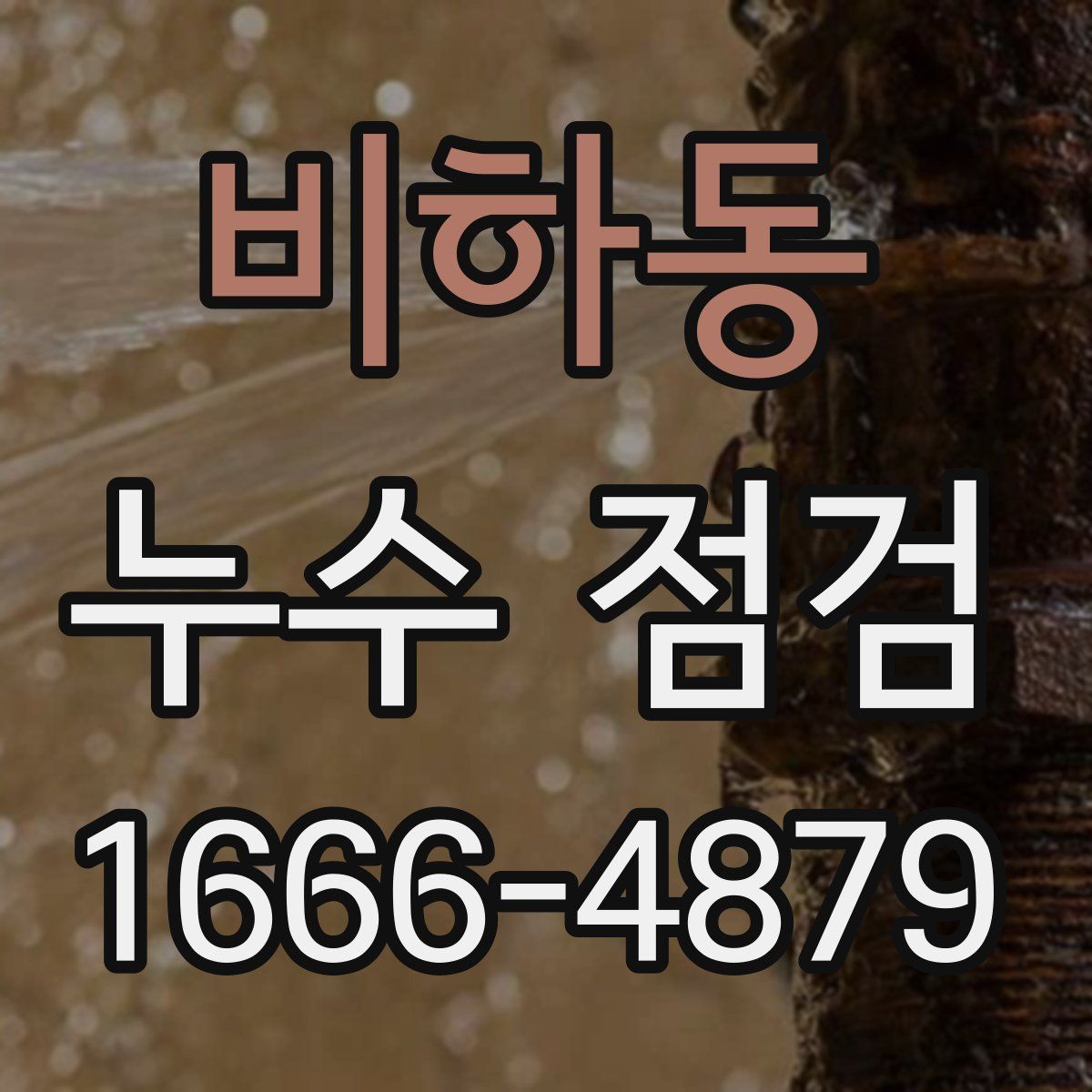 비하동 누수 점검
