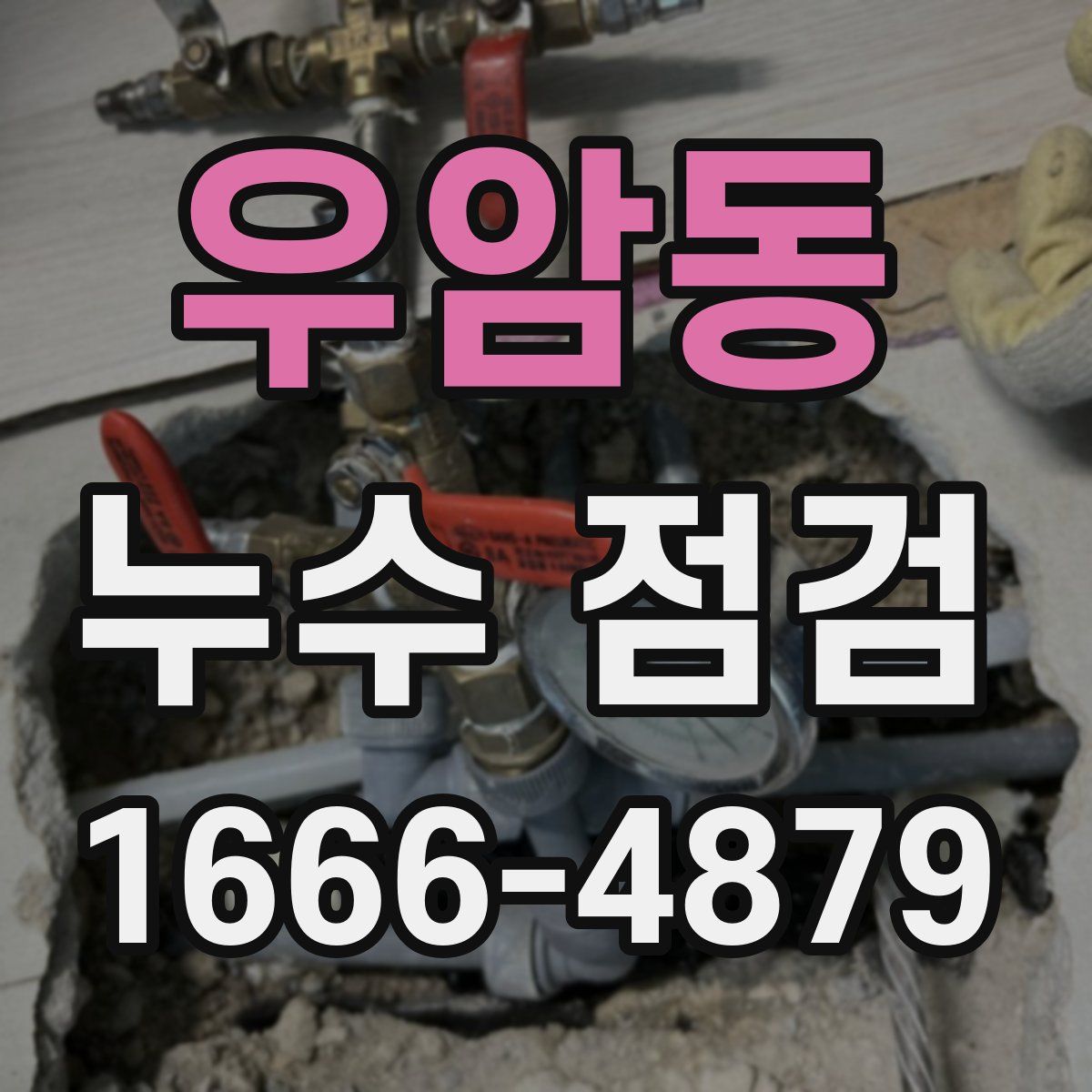 우암동 누수 점검