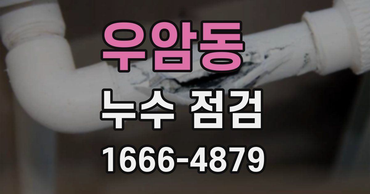 우암동 누수 점검