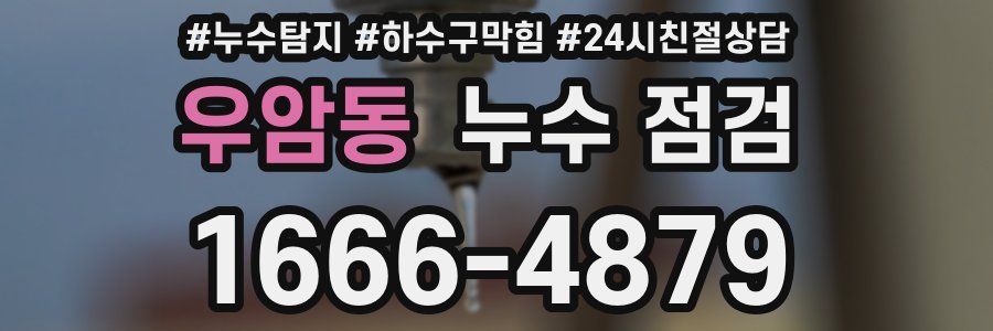 우암동 누수 점검