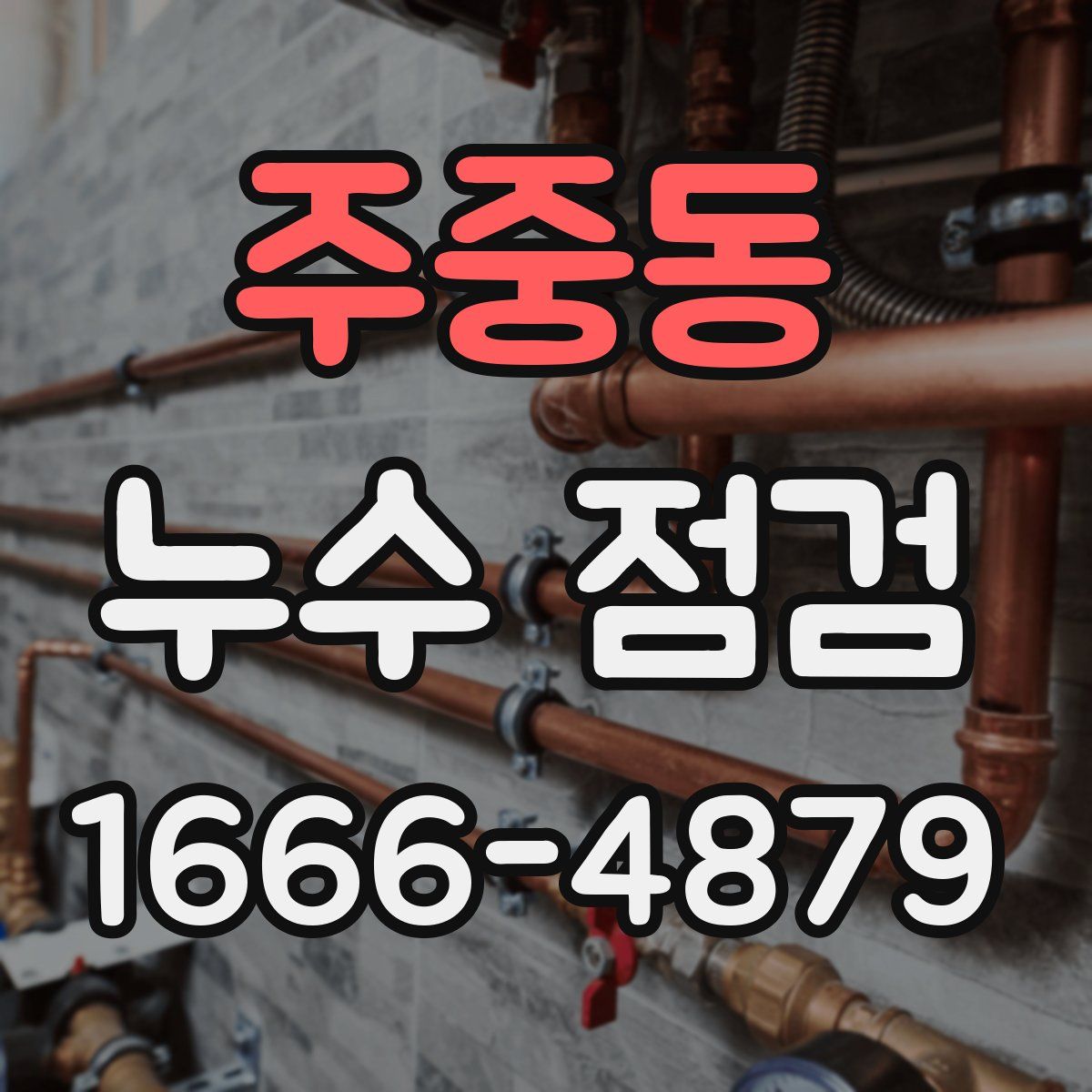주중동 누수 점검