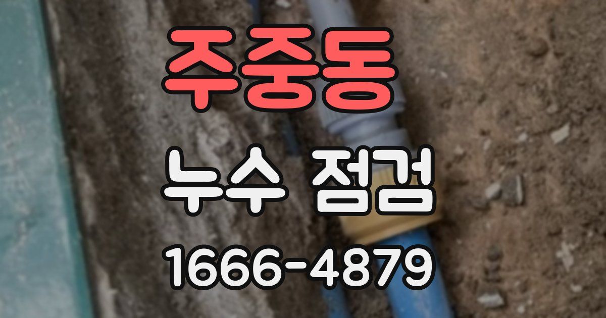 주중동 누수 점검