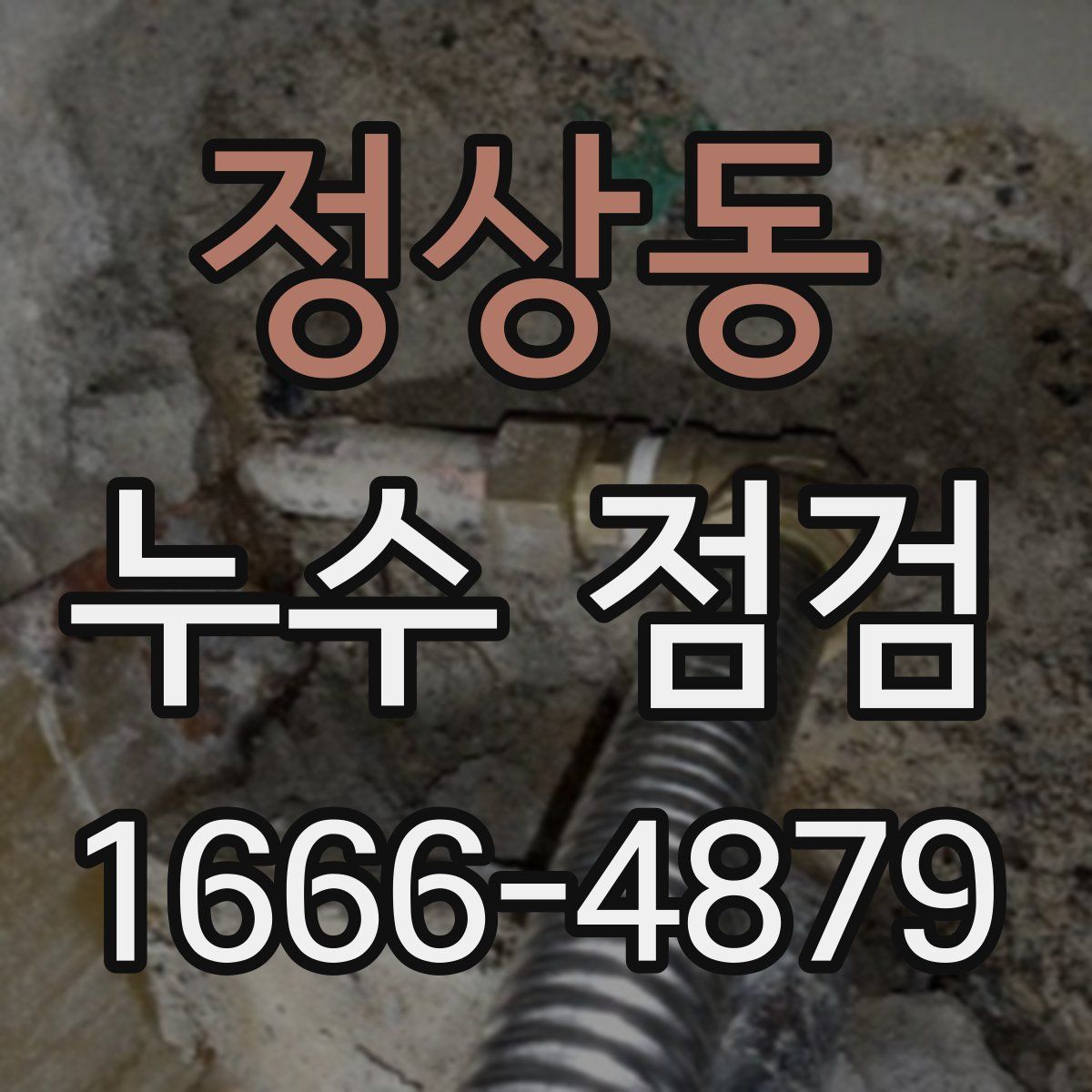정상동 누수 점검