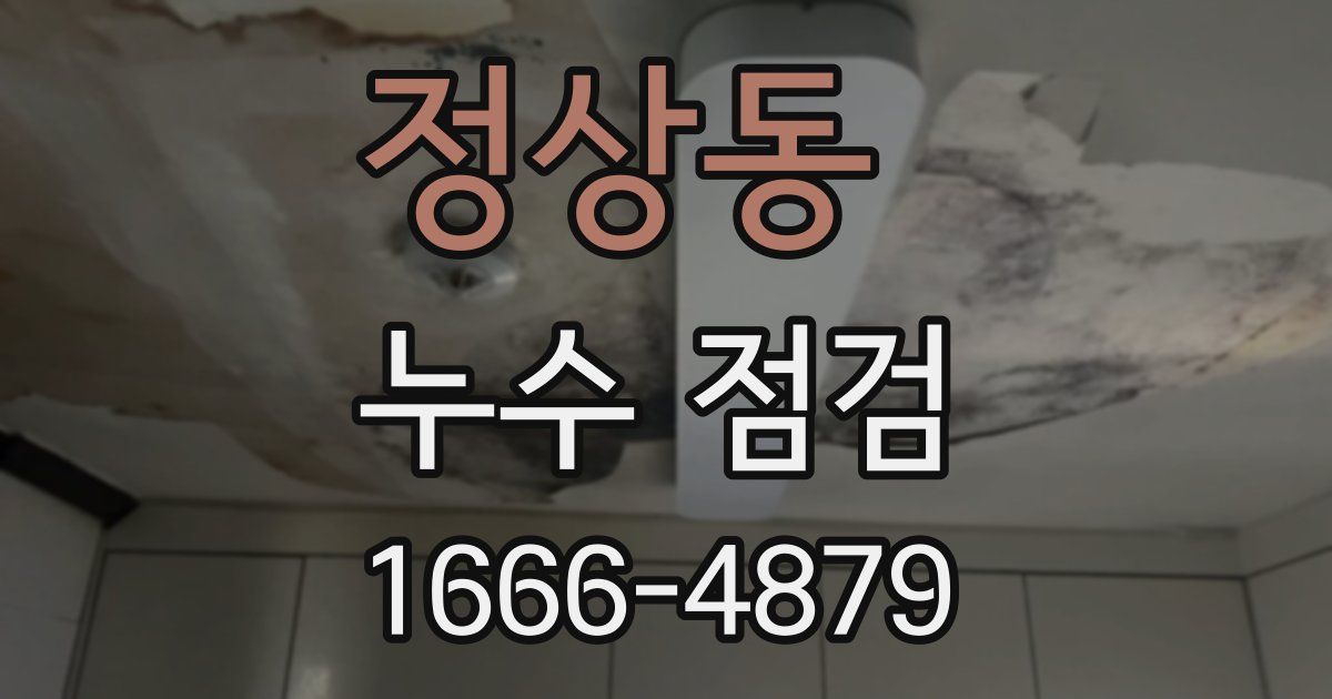 정상동 누수 점검