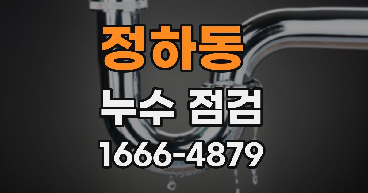 정하동 누수 점검