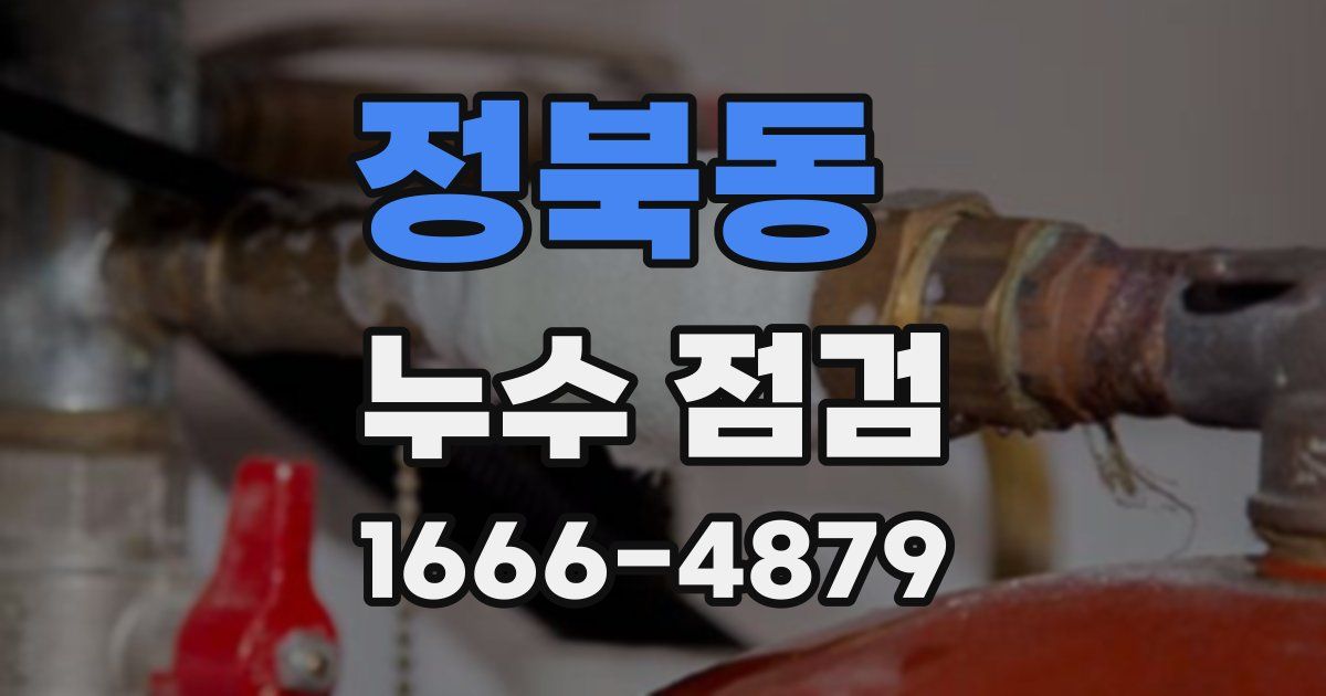 정북동 누수 점검