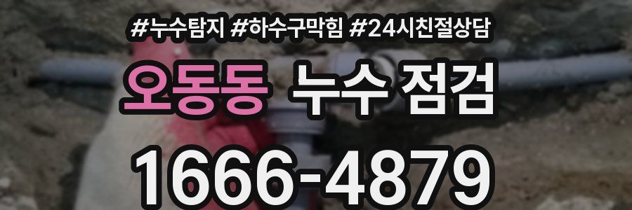 오동동 누수 점검