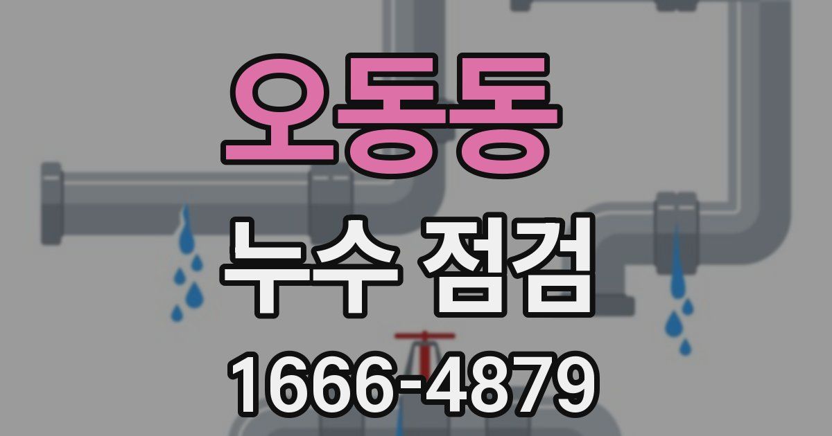 오동동 누수 점검