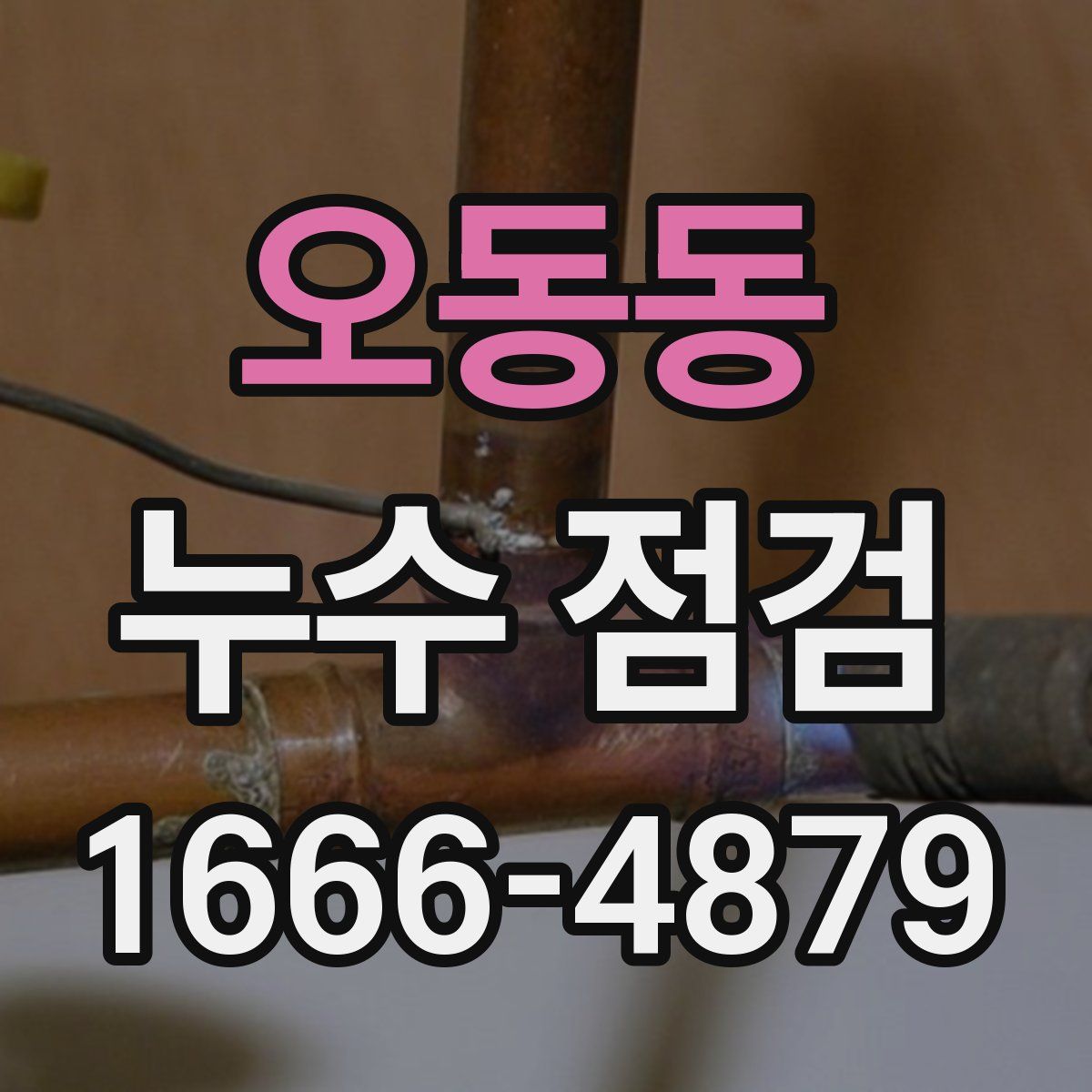 오동동 누수 점검