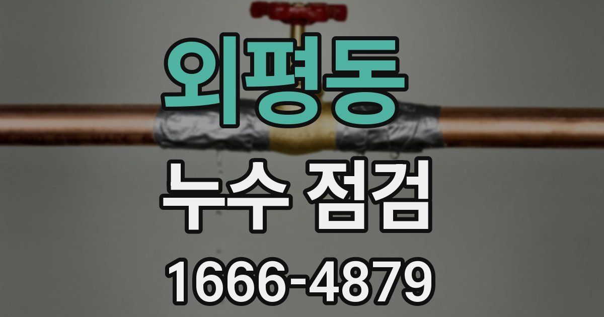외평동 누수 점검