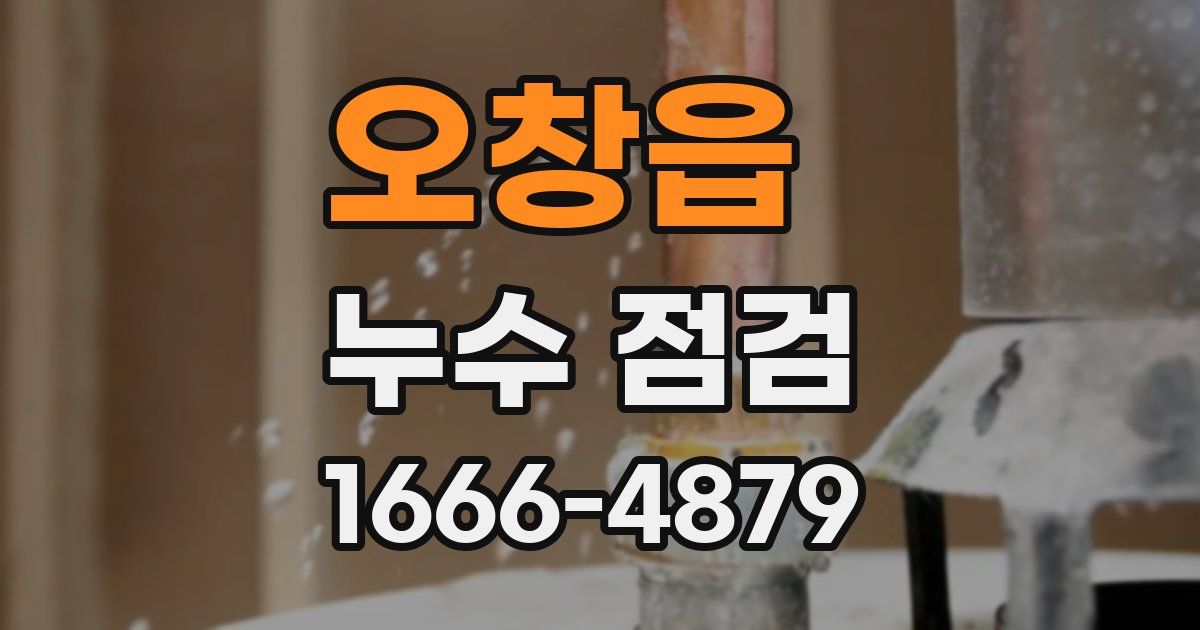 오창읍 누수 점검