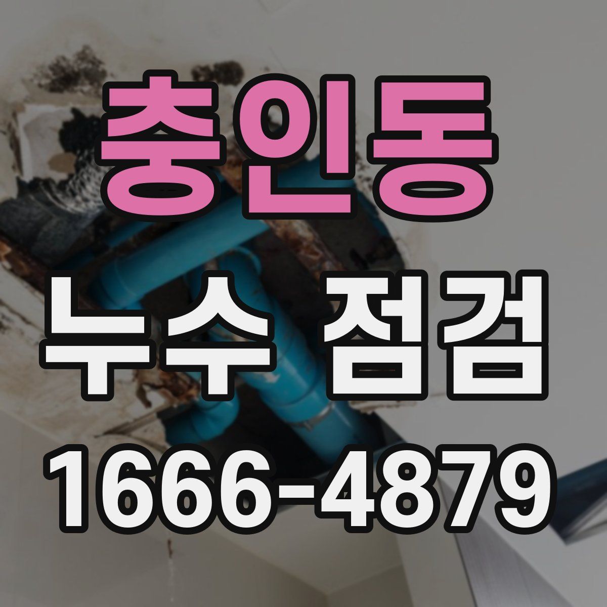 충인동 누수 점검