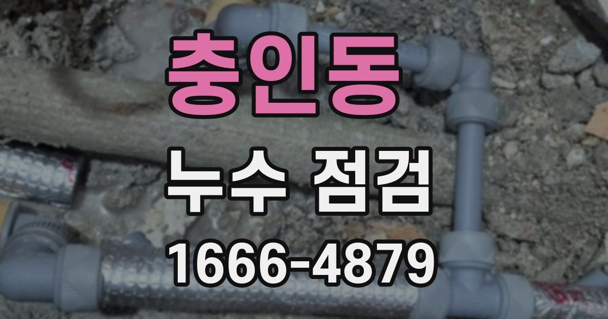 충인동 누수 점검