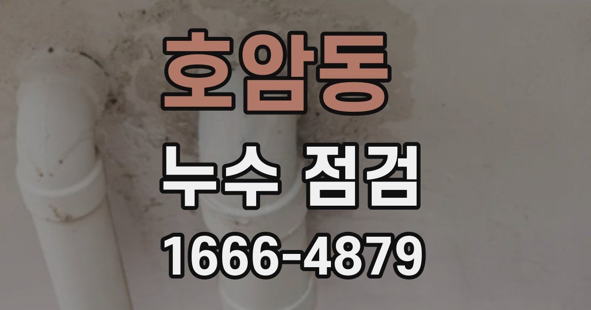 호암동 누수 점검