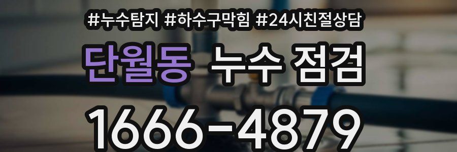 단월동 누수 점검