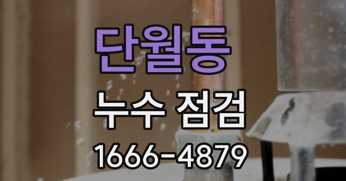 단월동 누수 점검