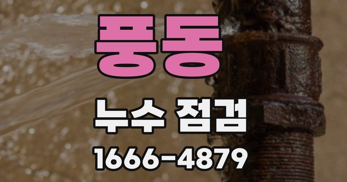 풍동 누수 점검