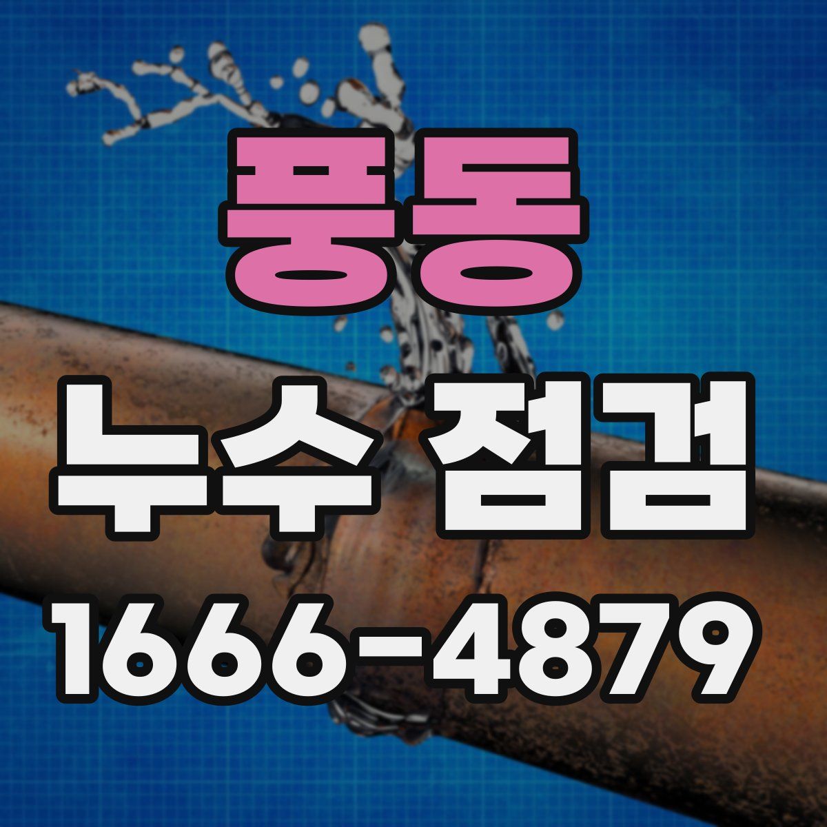 풍동 누수 점검