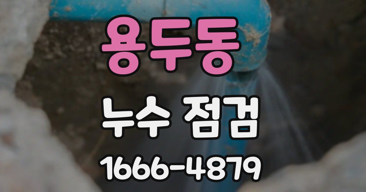 용두동 누수 점검
