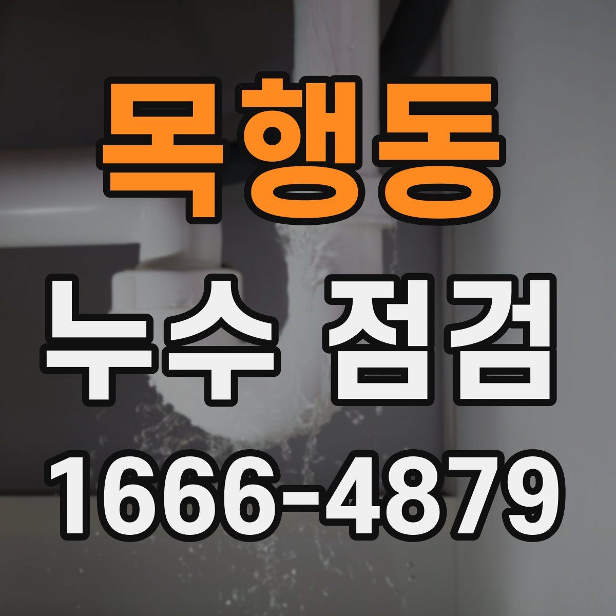 목행동 누수 점검