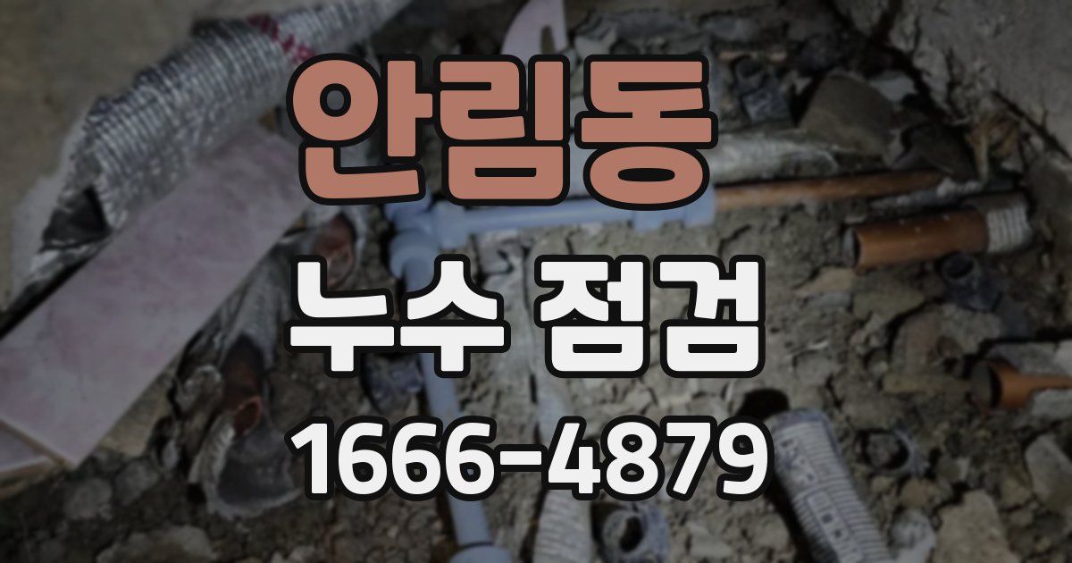 안림동 누수 점검