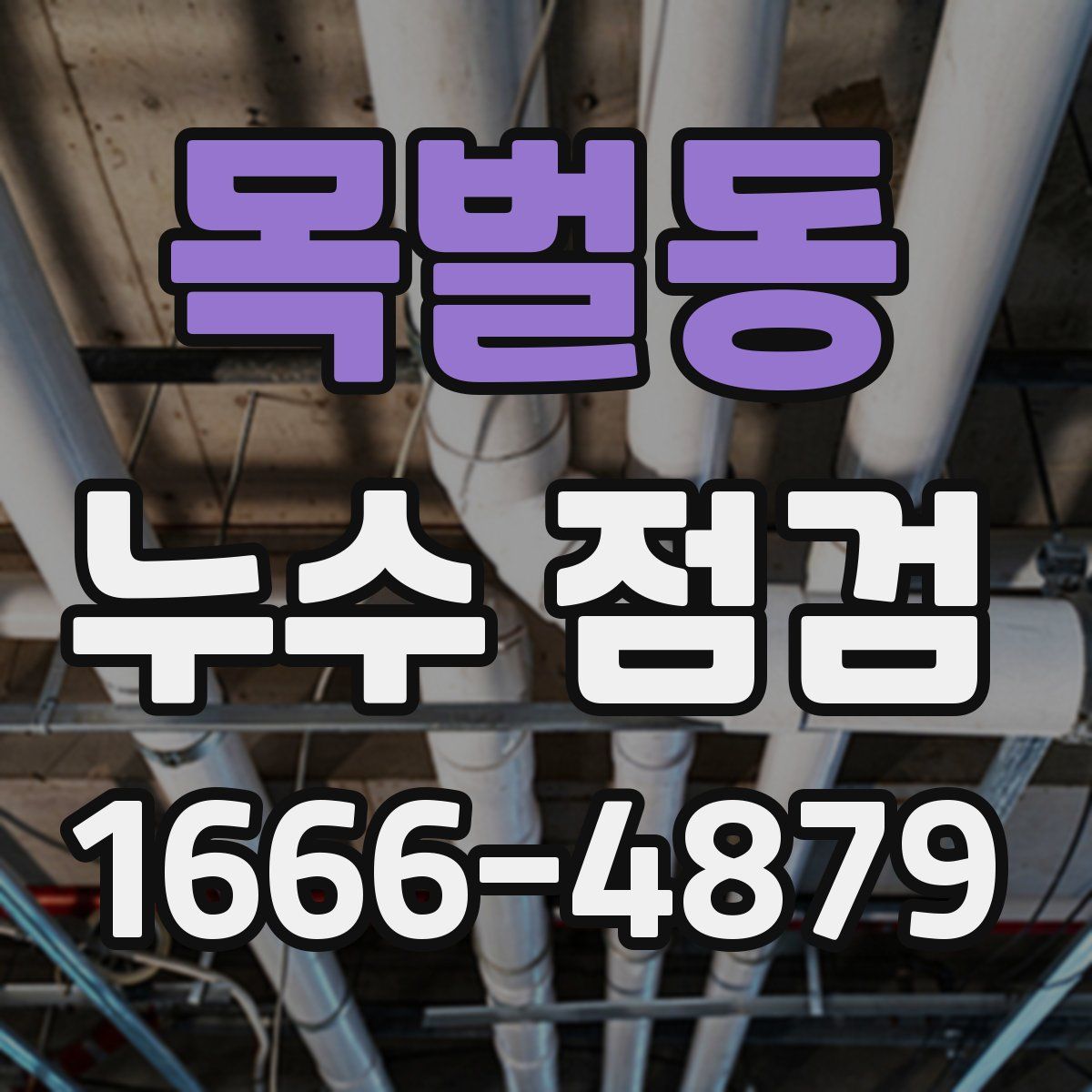 목벌동 누수 점검