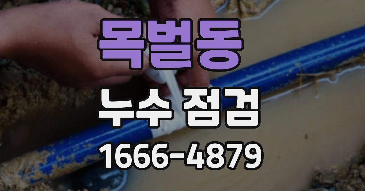 목벌동 누수 점검