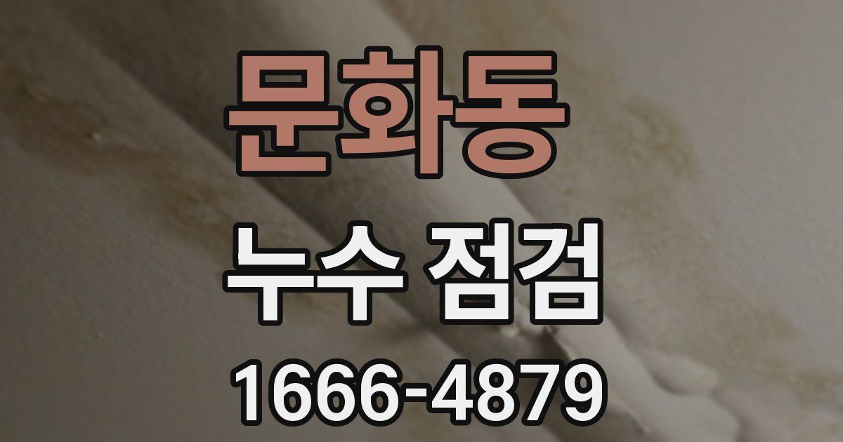 문화동 누수 점검