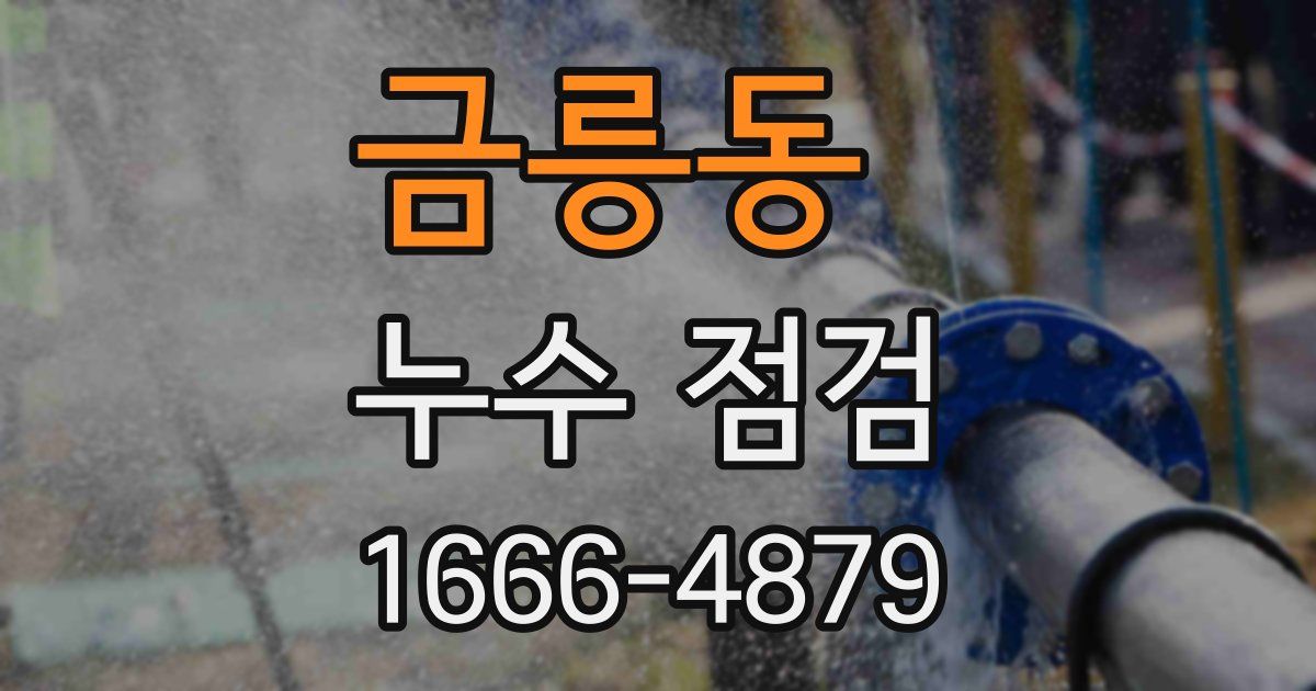 금릉동 누수 점검