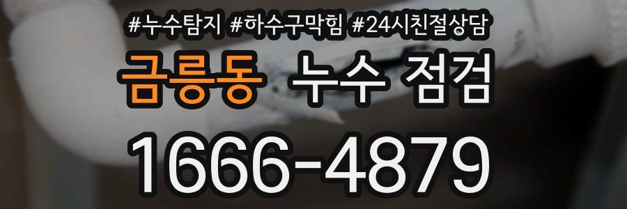 금릉동 누수 점검