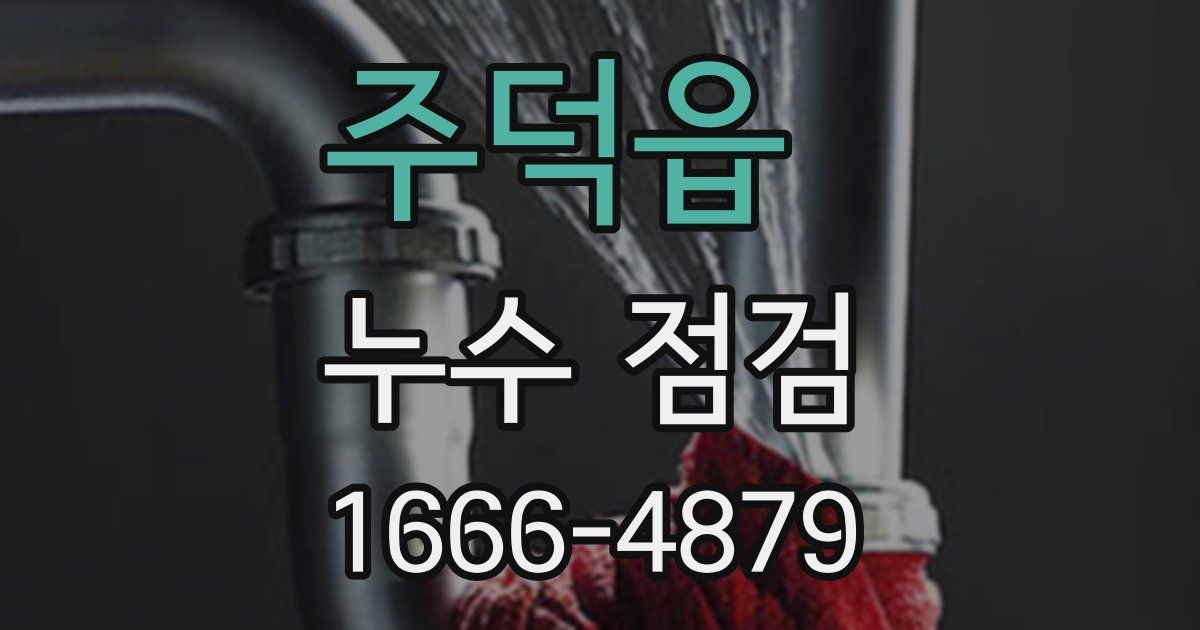 주덕읍 누수 점검