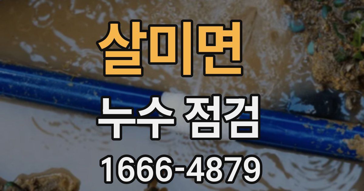 살미면 누수 점검