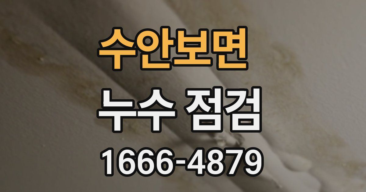 수안보면 누수 점검